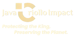 logo web javacriolloimpact